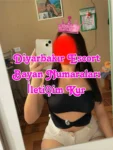 Diyarbakır Escort Bayan Numaraları İletişim Kur